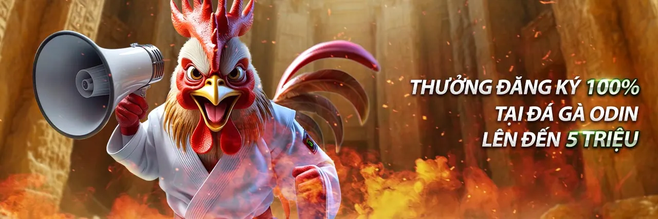 Cá cược Thể Thao và Poker Android