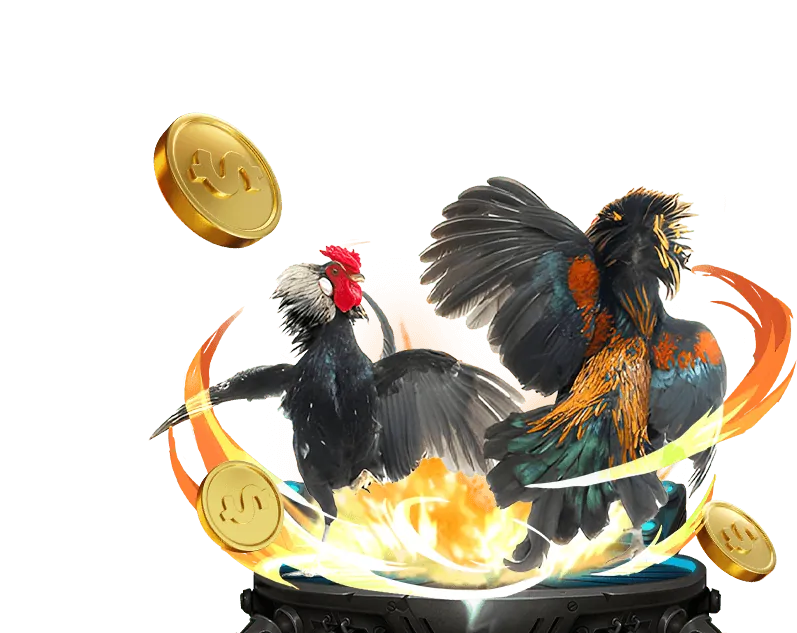 Các môn thể thao phổ biến